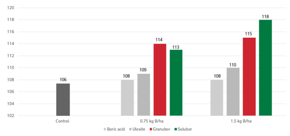 Graph results of sugarcane field trial